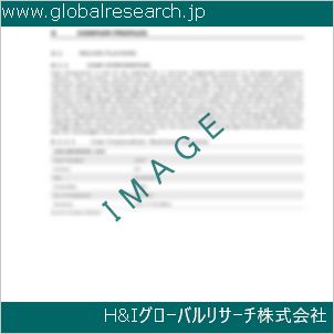 グローバルリサーチ調査資料のイメージ
